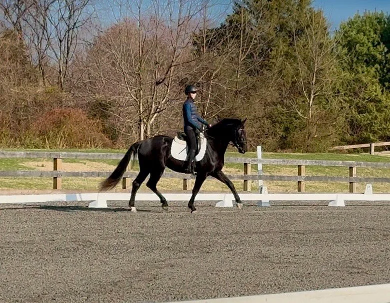 Benevolent TPDS trot 2.jpg