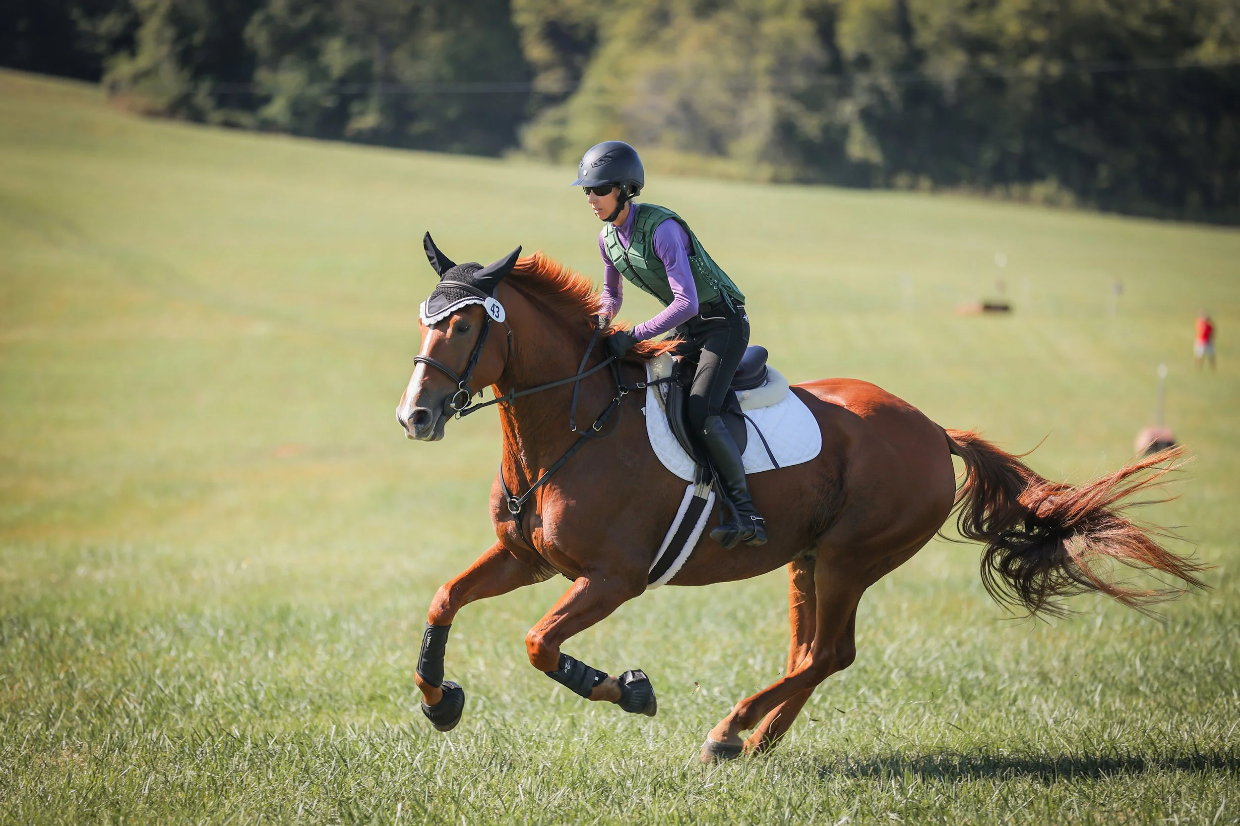 Titanium RGST prof gallop 2 med.jpg