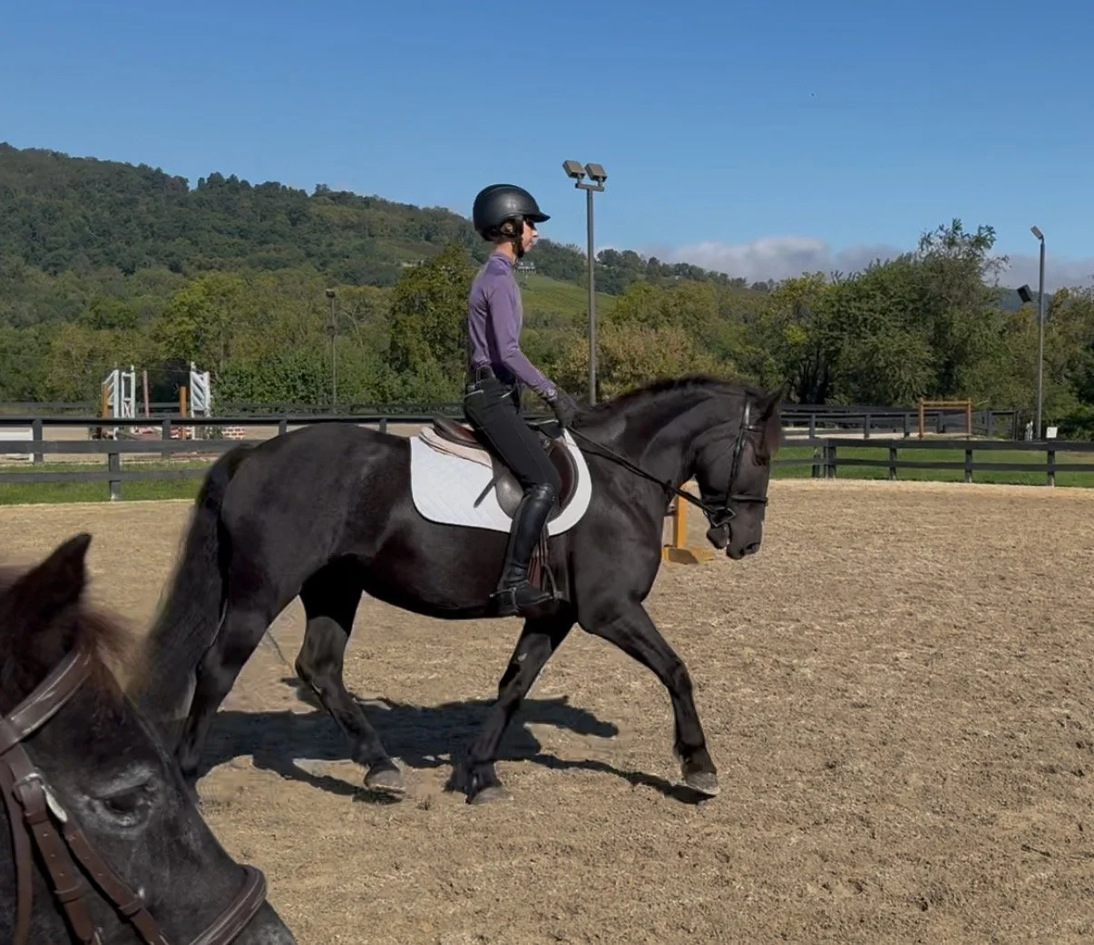 Ruca RGST trot 1.jpg