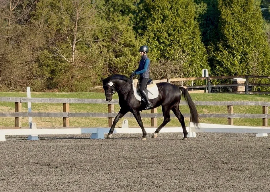 Benevolent TPDS trot 4.jpg