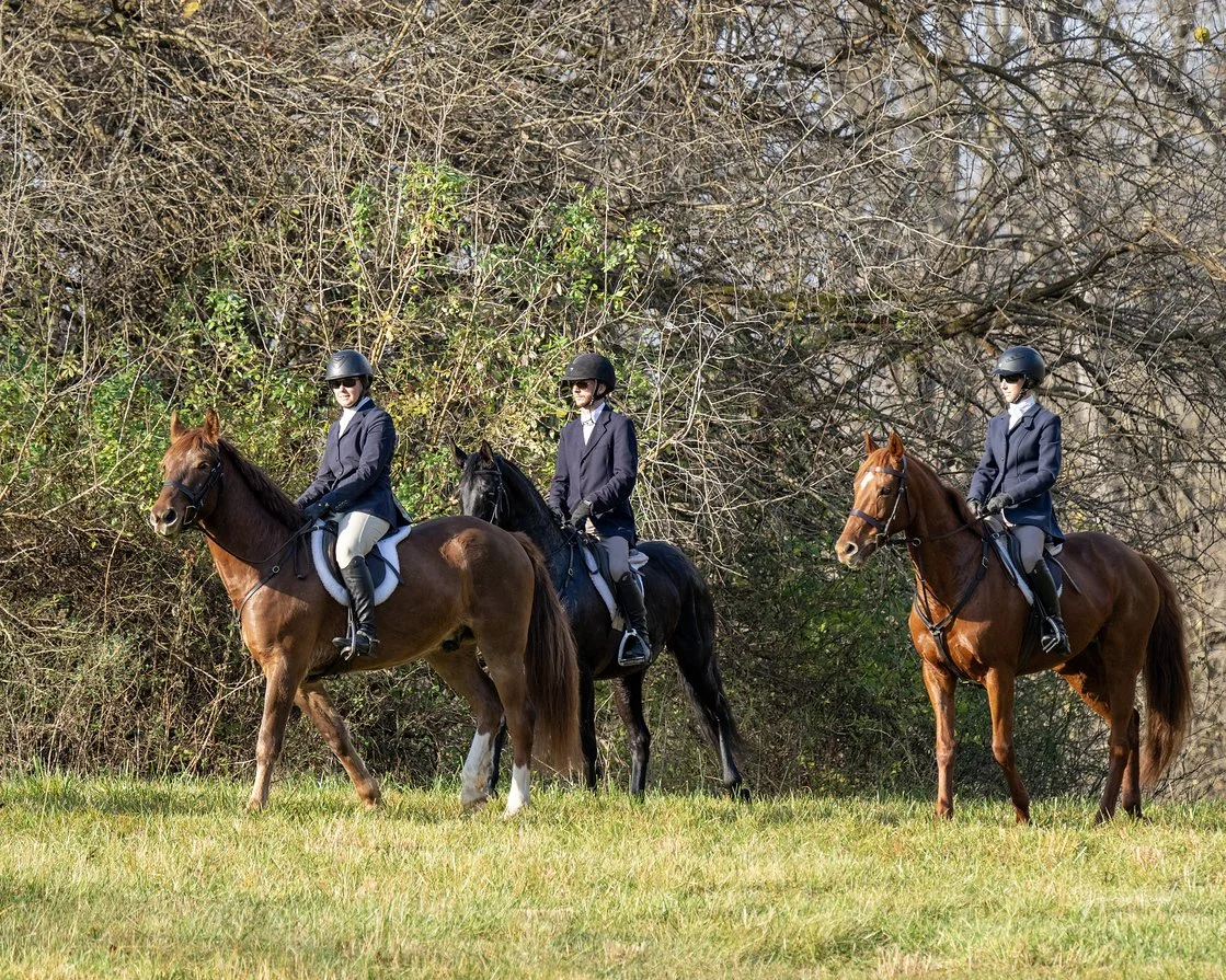 Sprout prof hunt 1.jpg