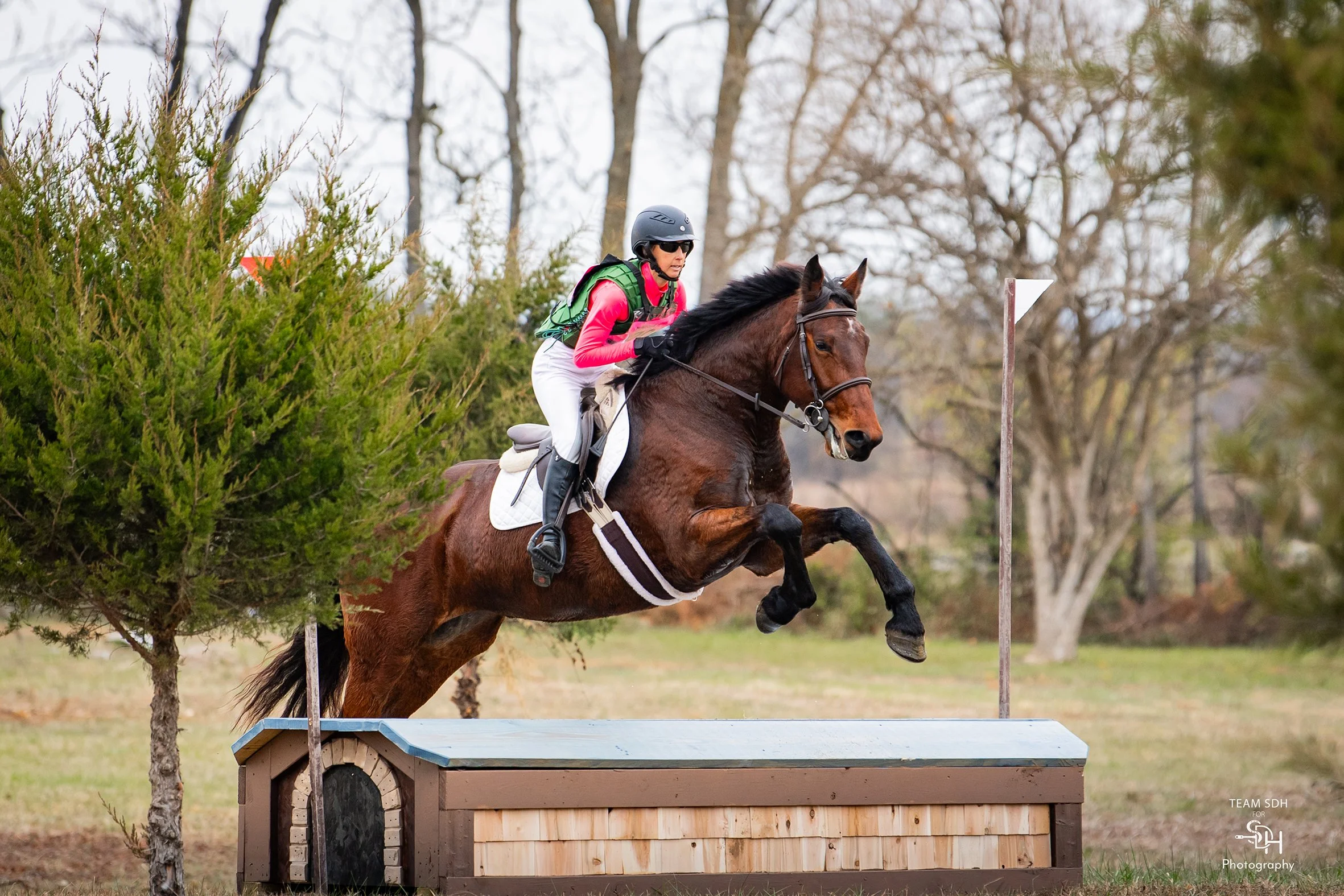 Nesta HCFST prof xc jump 2 med.jpg