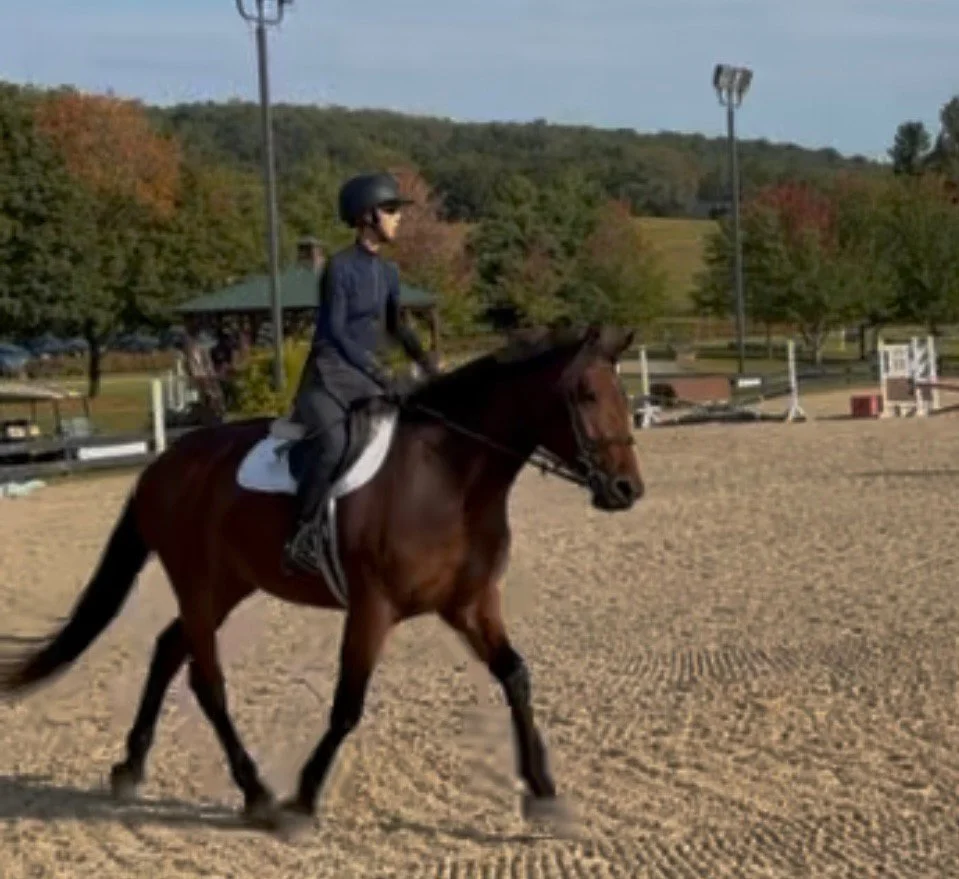 Nesta MSJS trot 1.jpg