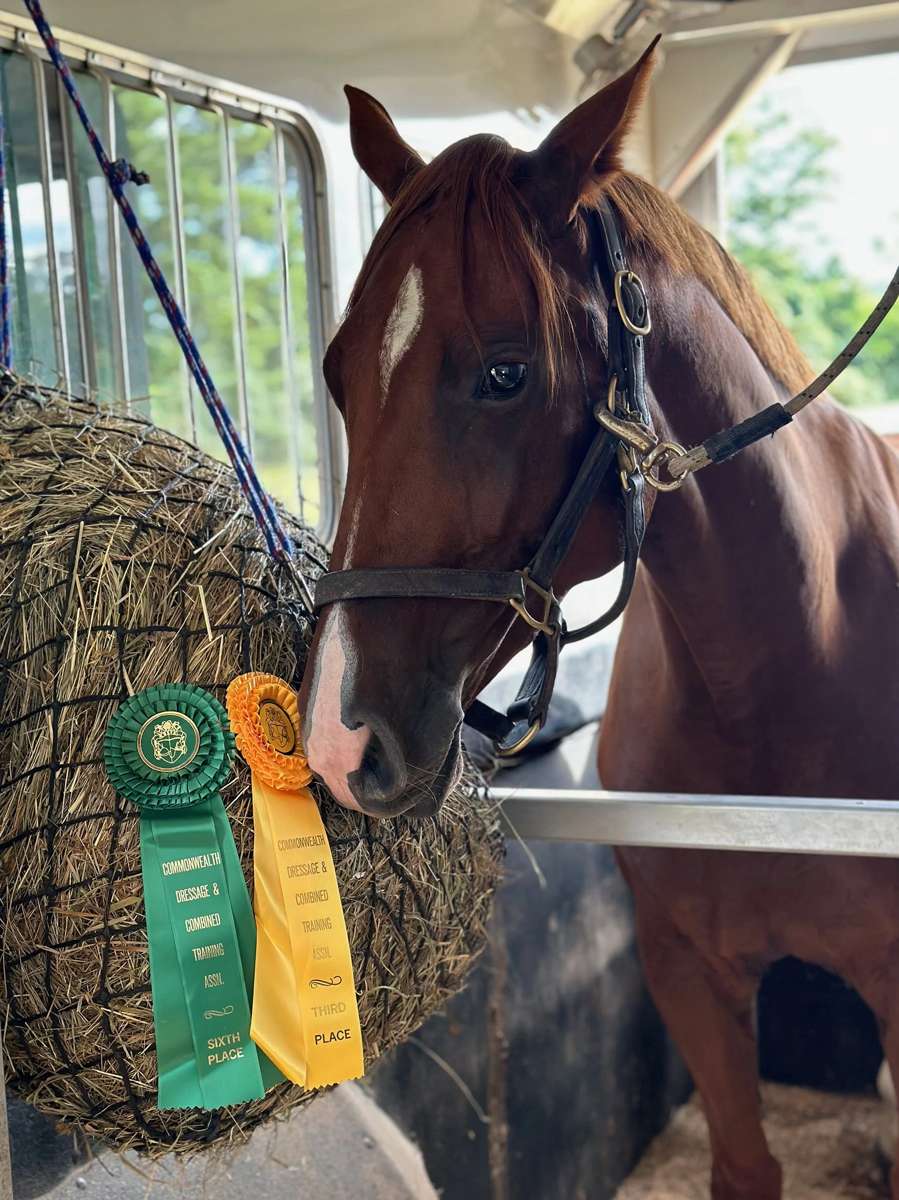 Cadenza CDCTA DS ribbons.jpg