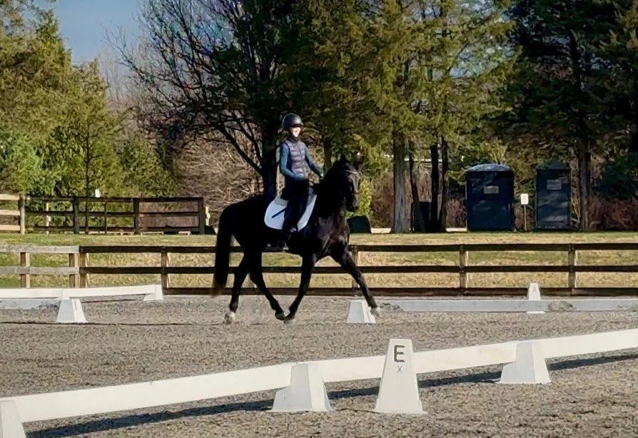Benevolent TPDS trot 3.jpg