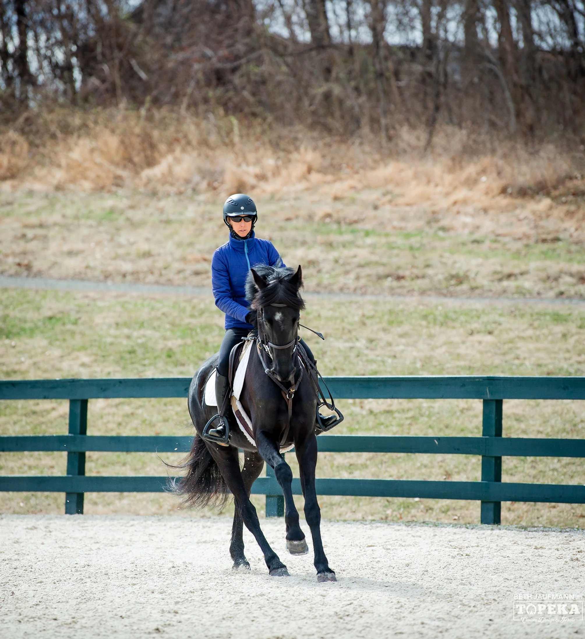 Maggie - AJAJ canter 1.jpg