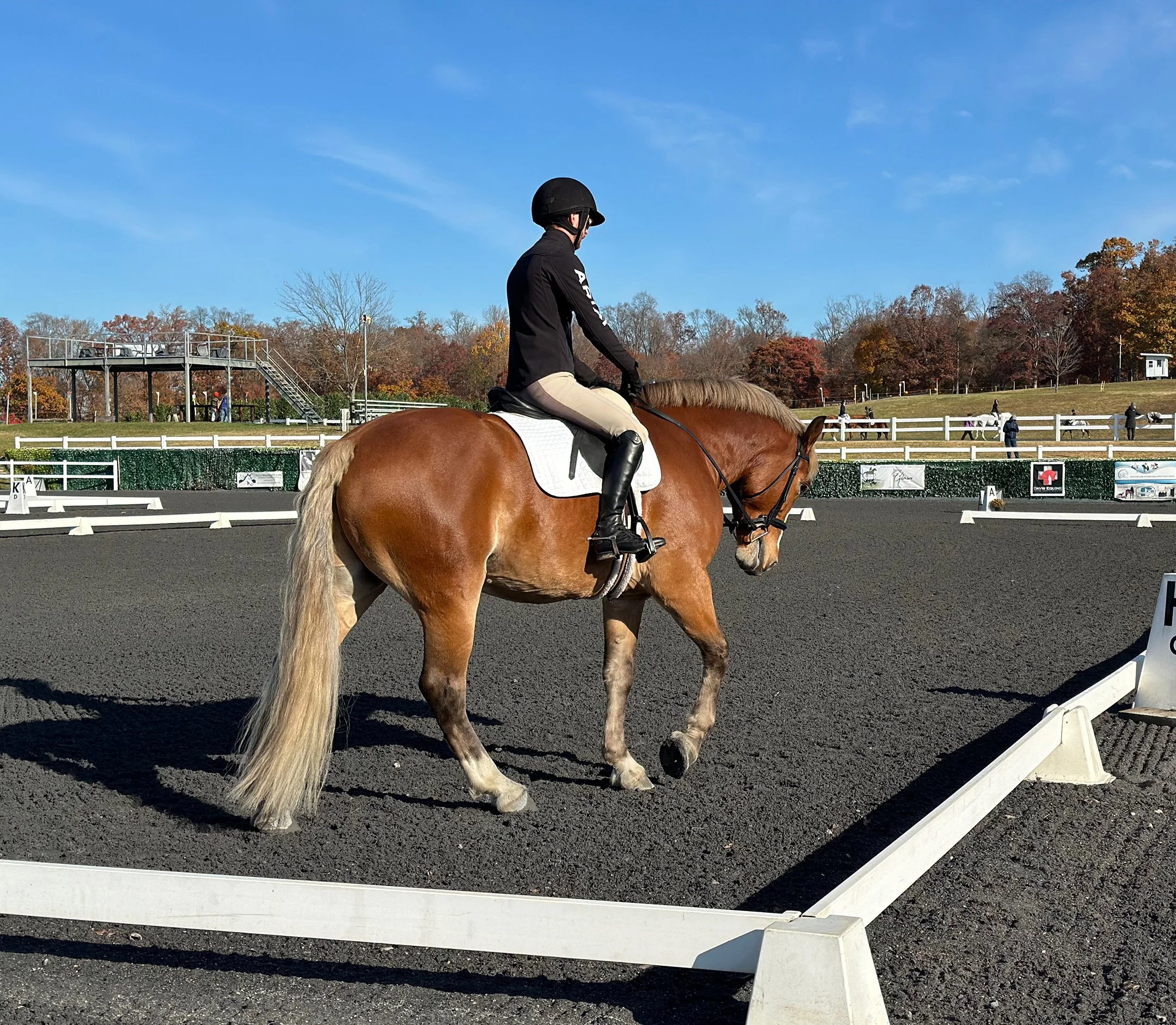 Dewey MDST walk 1.jpg