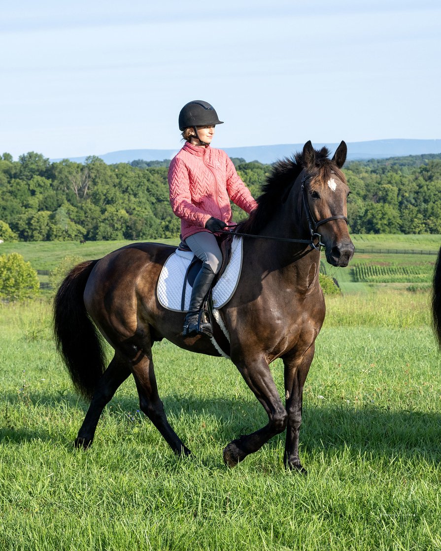 Shultz & Addie roading prof 1.jpg