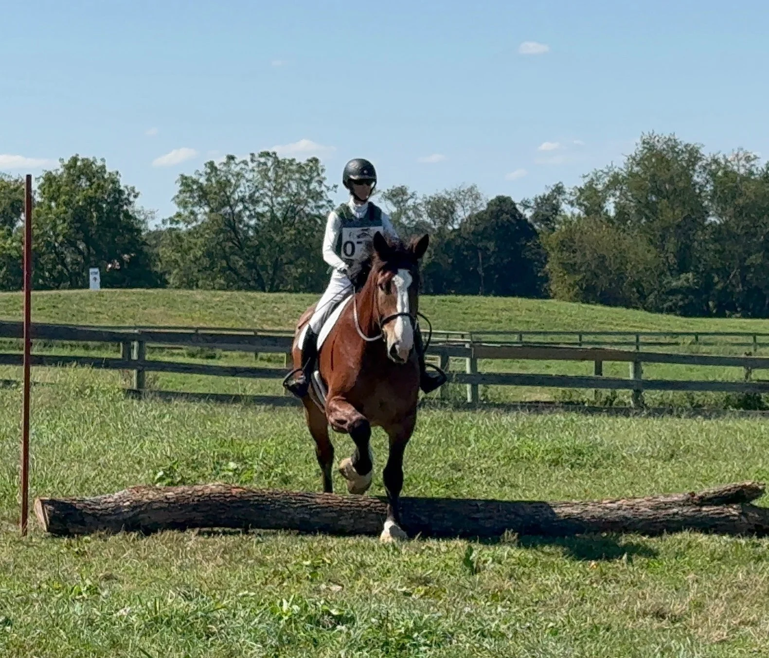 Mungo WDST xc jump 1.jpg