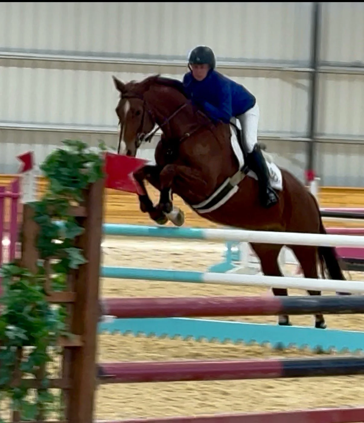 Cadenza MCDJS jump 3.jpg