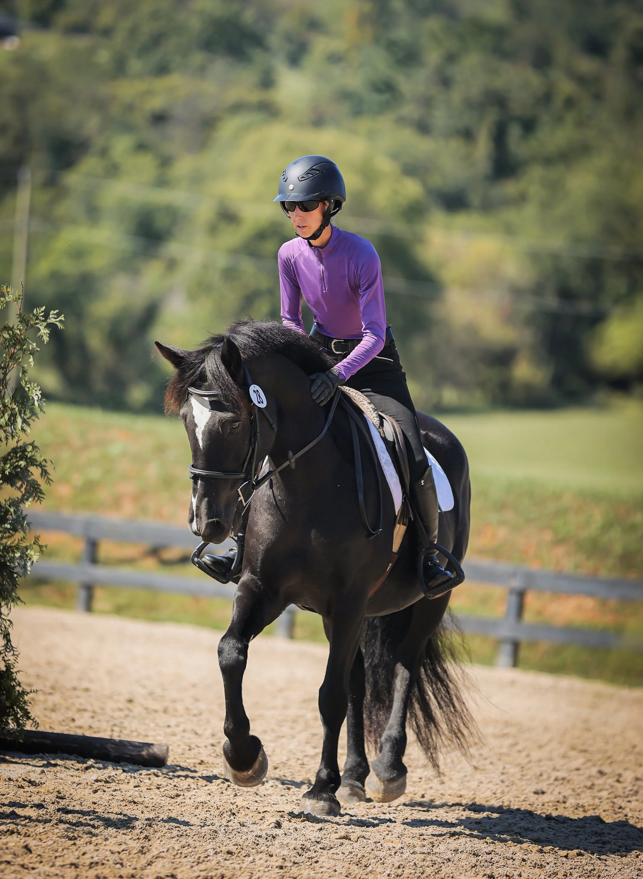 Ruca RGST prof trot 1 med.jpg