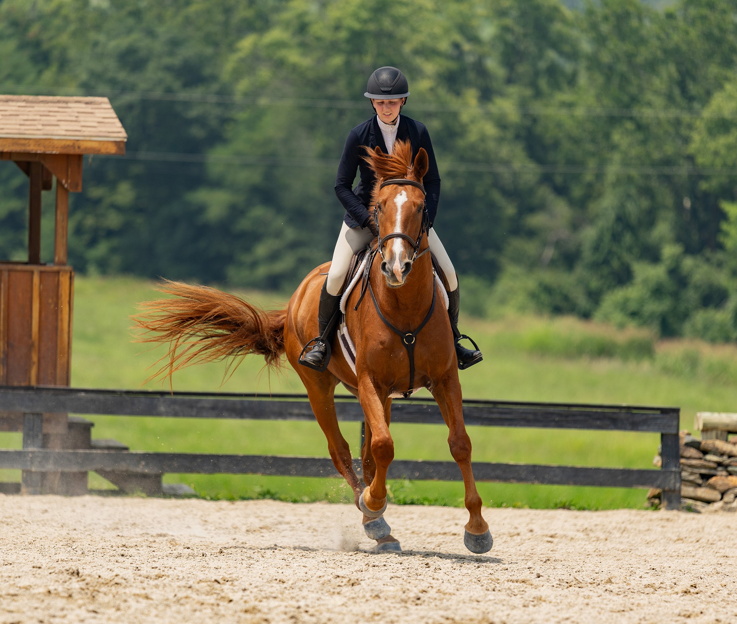 Titanium & Amelia RGF canter 1 med.jpg