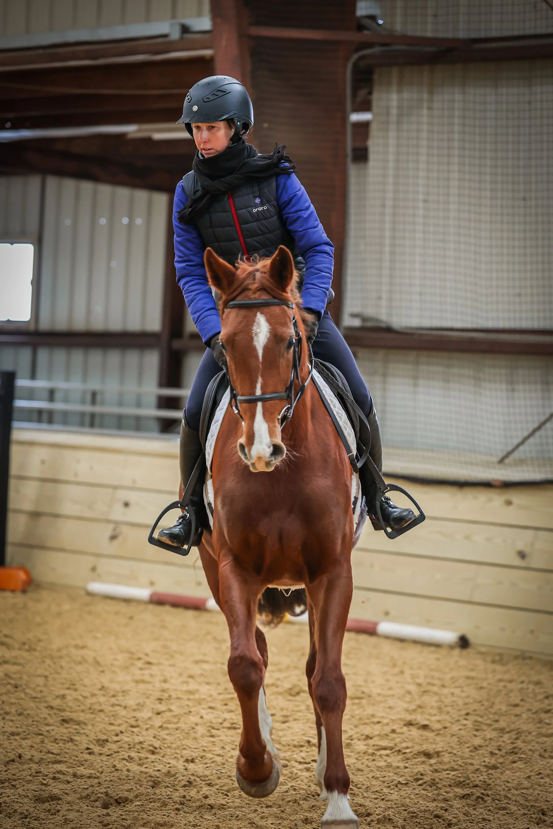 Cadenza PJS canter prof 1 med.jpg