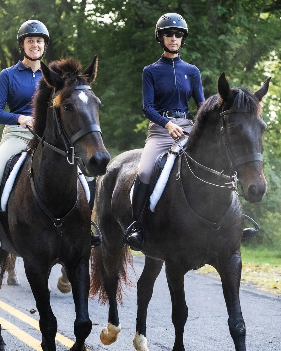 Mulch hunt 9-19-24-2.jpg