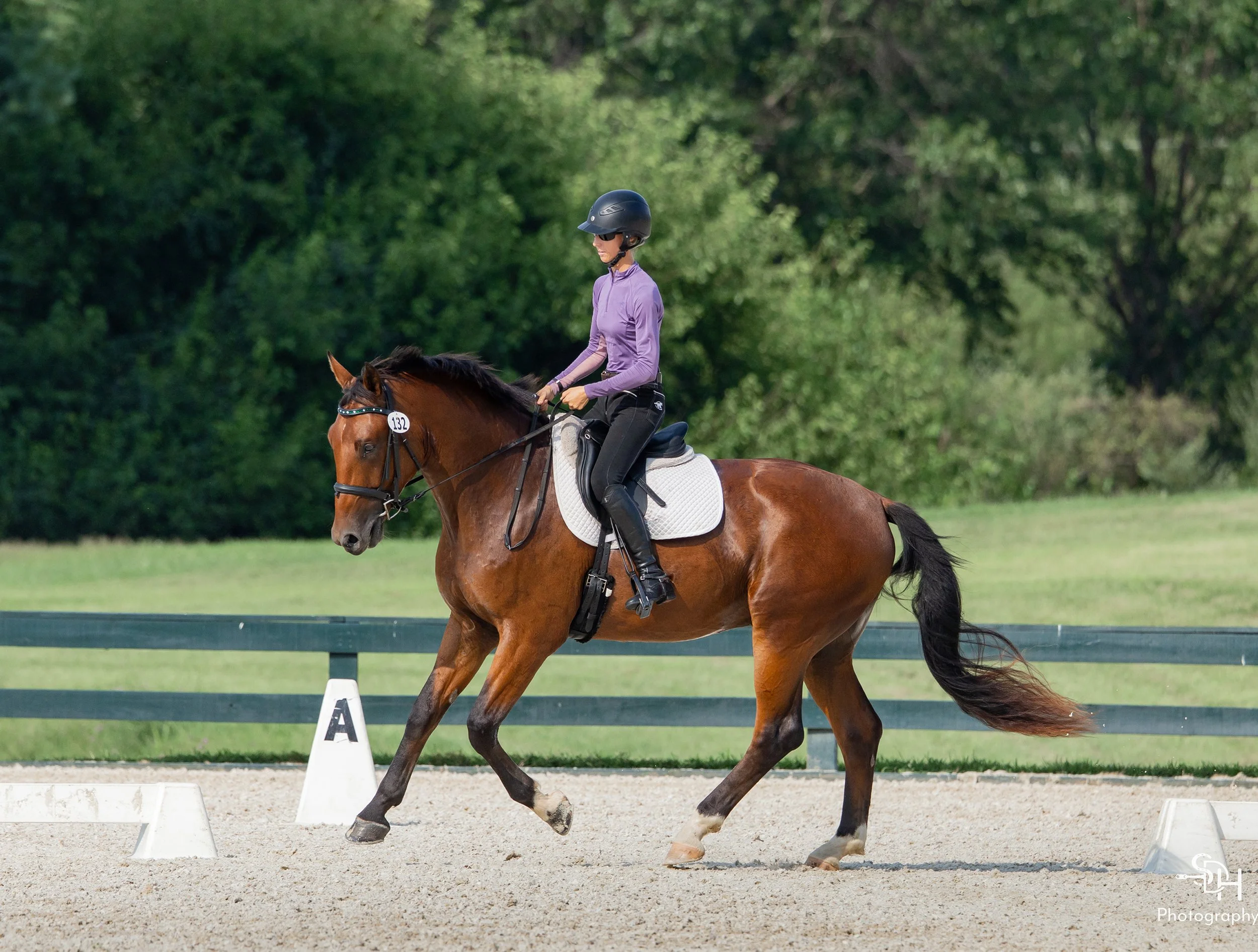 Fame GMDS2 canter 3 med.jpg