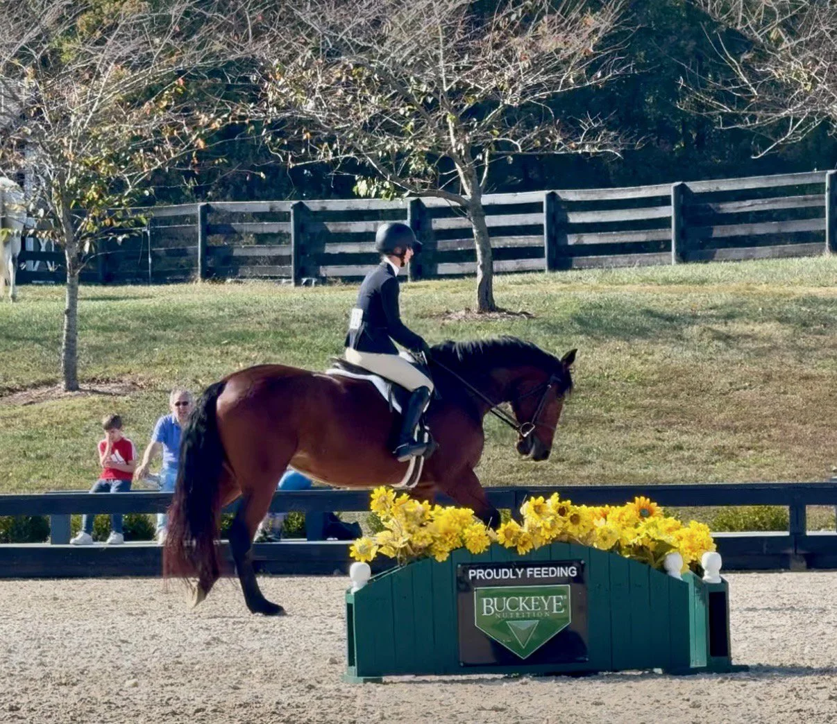 Nesta BVHS walk 1.jpg