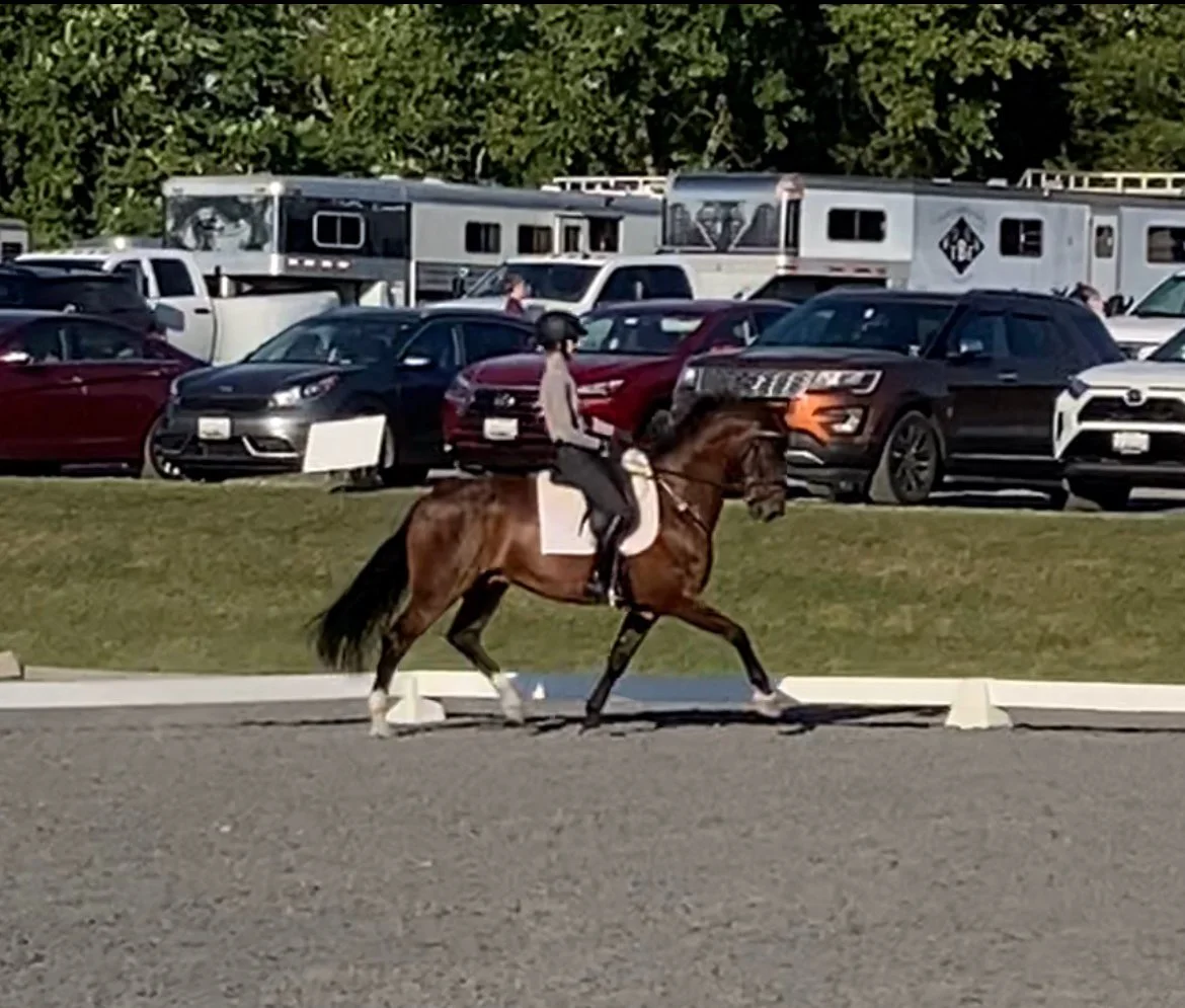 Marcelo MDTW 8-22 trot 4.jpg