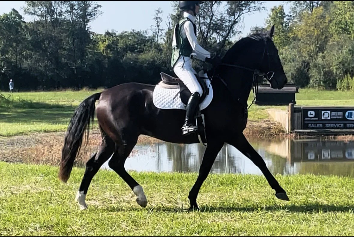 Mulch CDCTA xc trot 1.jpg