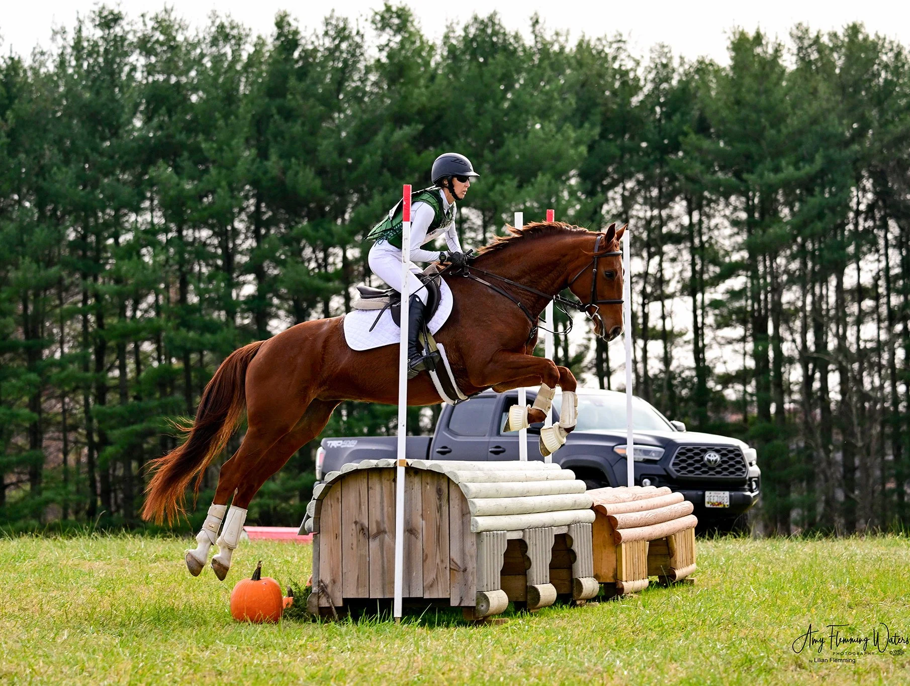 Cadenza FMFHT prof xc jump 2.jpg