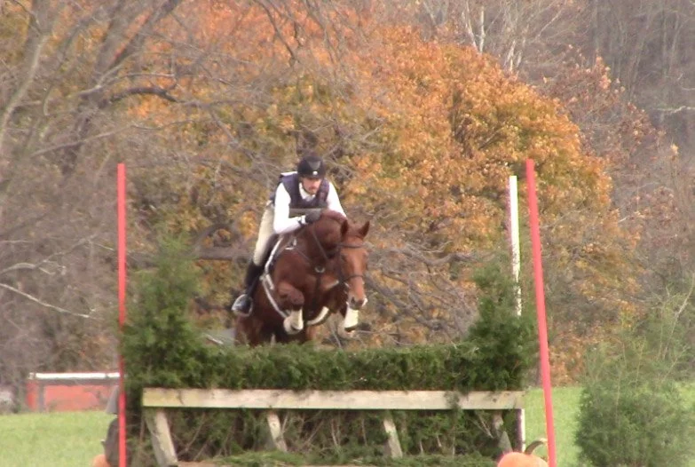 Ilka FMFHT xc jump 2.jpg