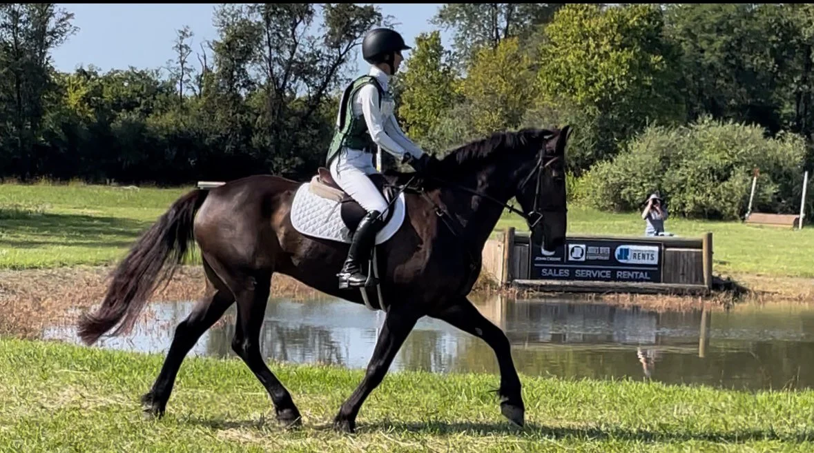 Shultz CDCTA xc trot 2.jpg