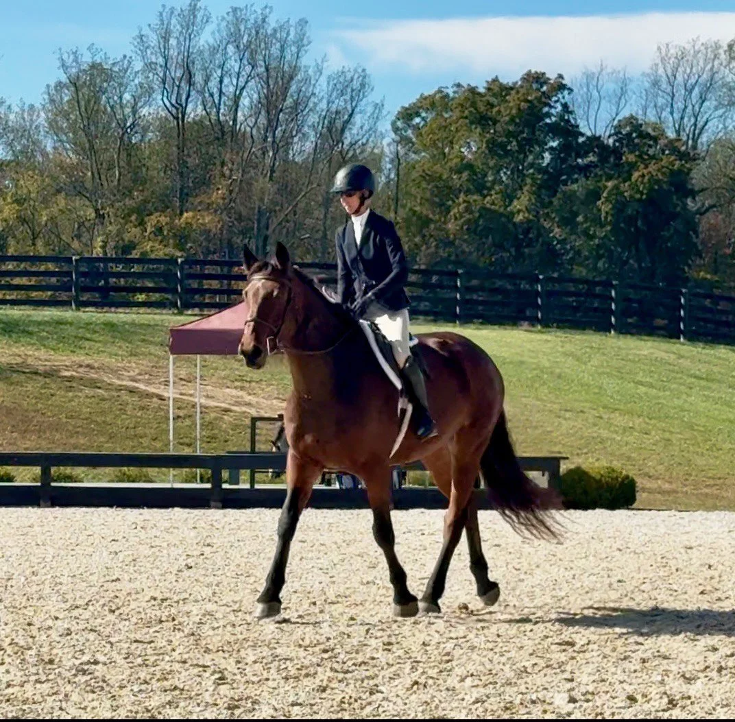 Nesta BVHS trot 3.jpg