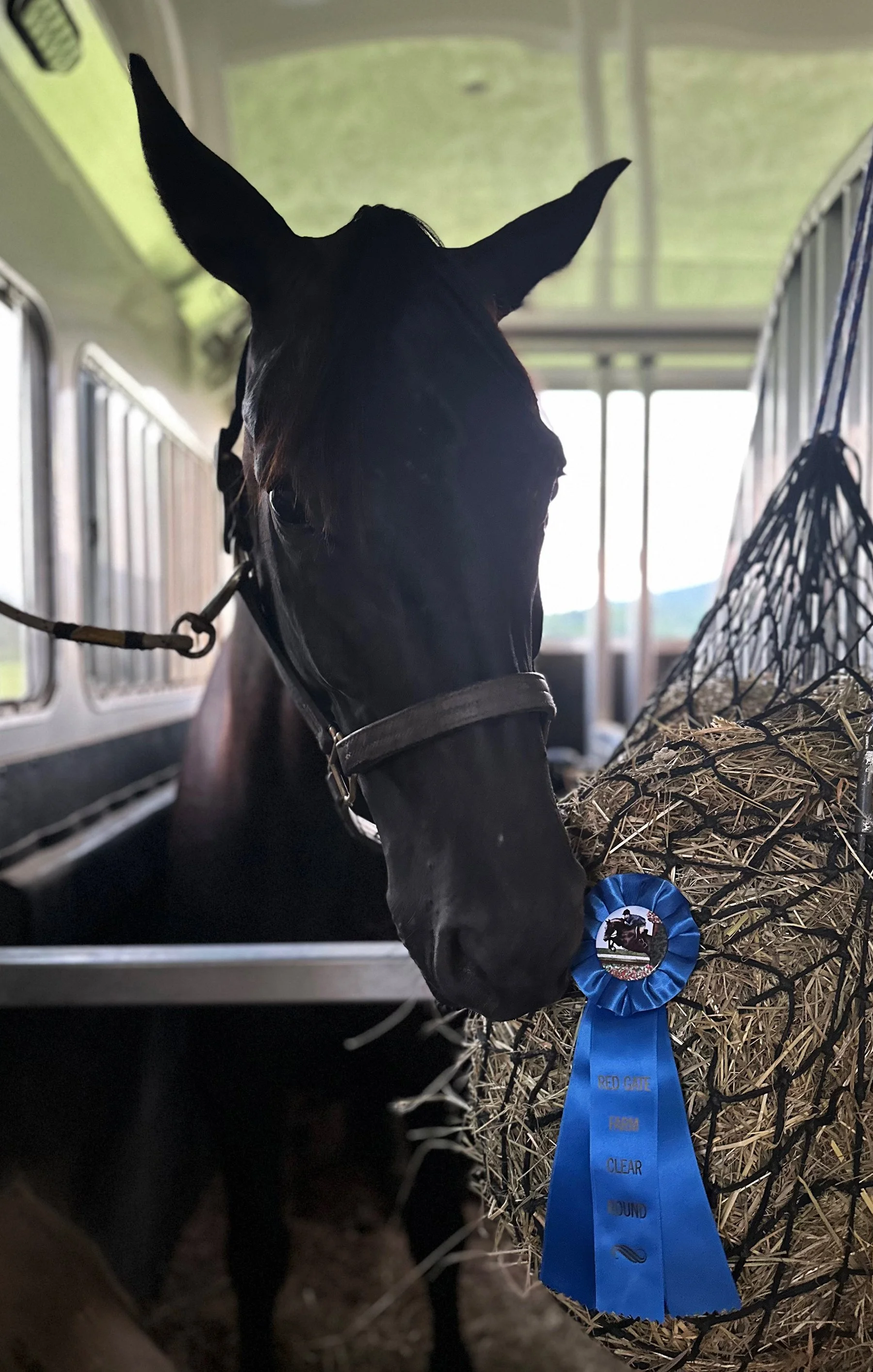 Fierce RGFJS ribbon.jpg