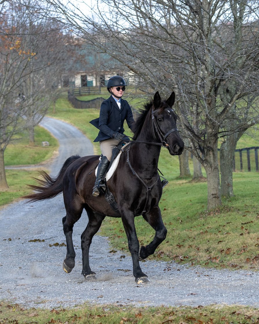 Gabriel prof hunt 2.jpg