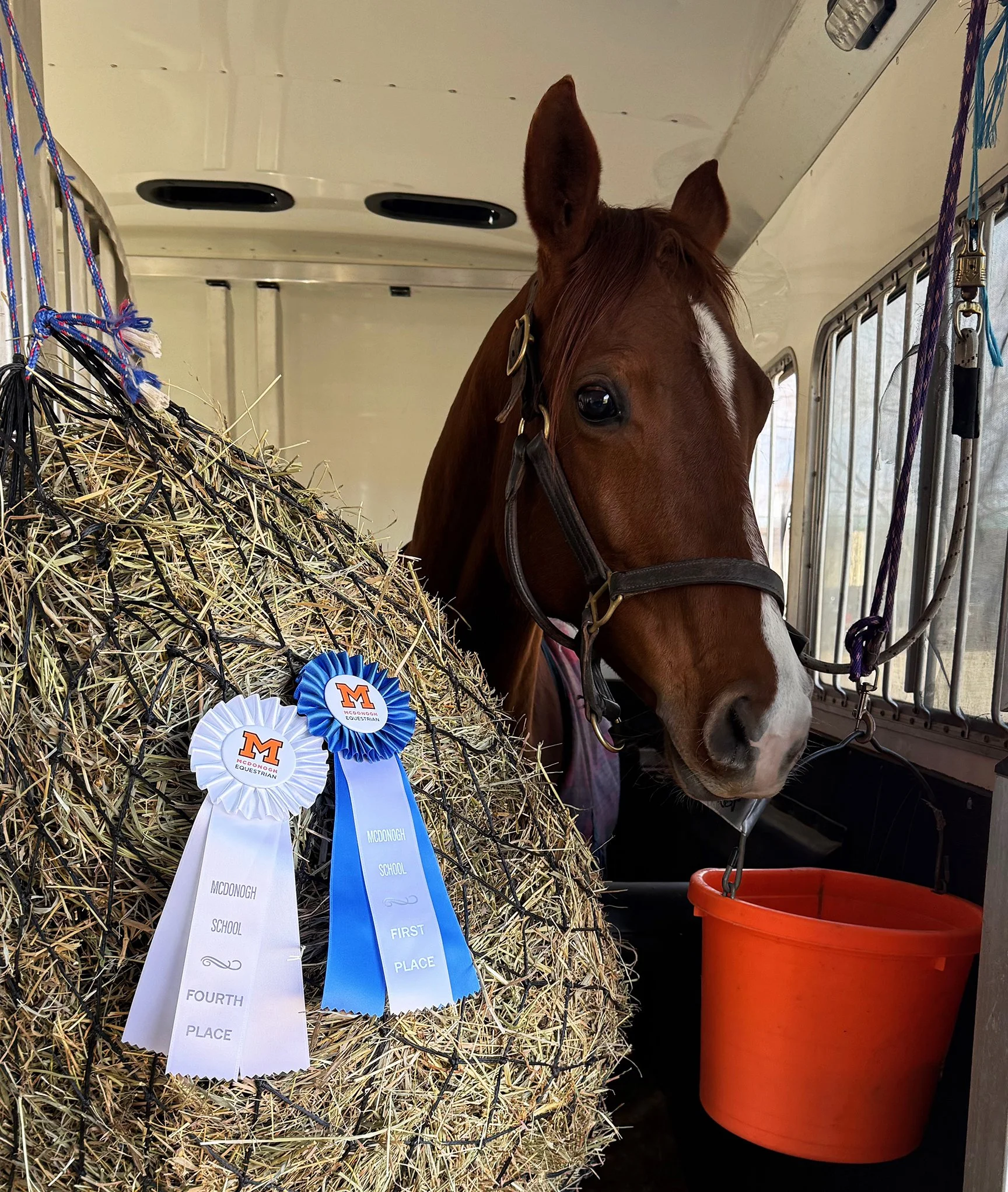 Cadenza MCDJS ribbons 1.jpg