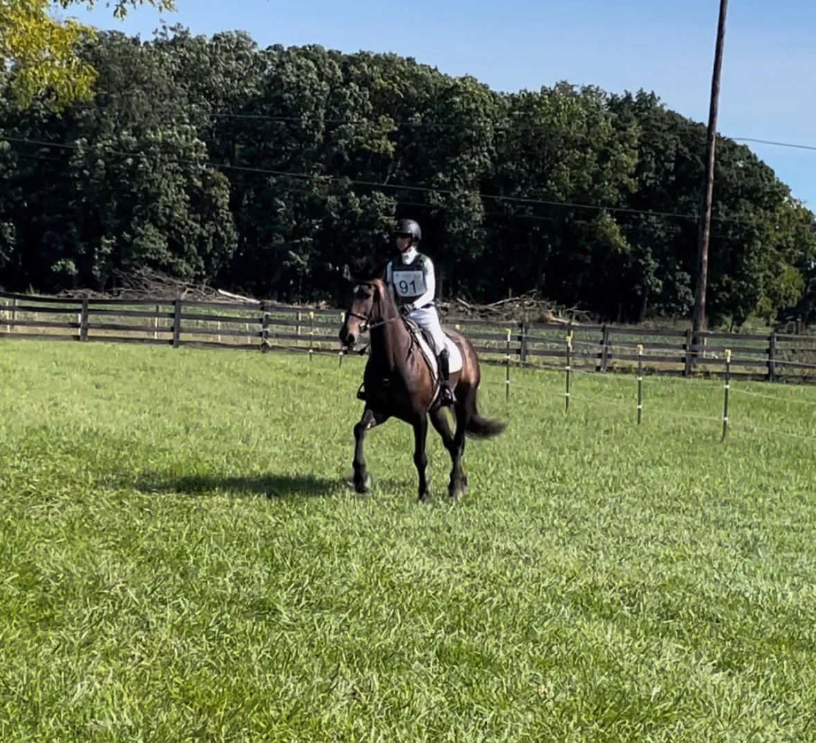 Shultz CDCTA trot 1.jpg