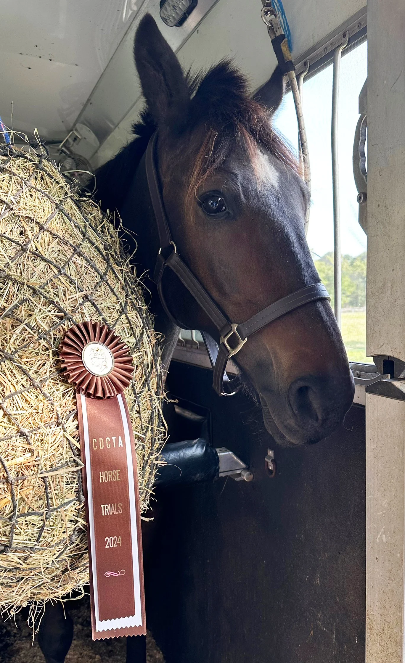 Shultz CDCTA ribbon.jpg