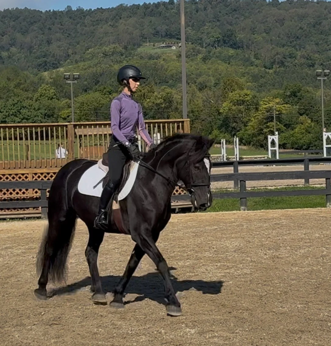 Ruca RGST trot 2.jpg