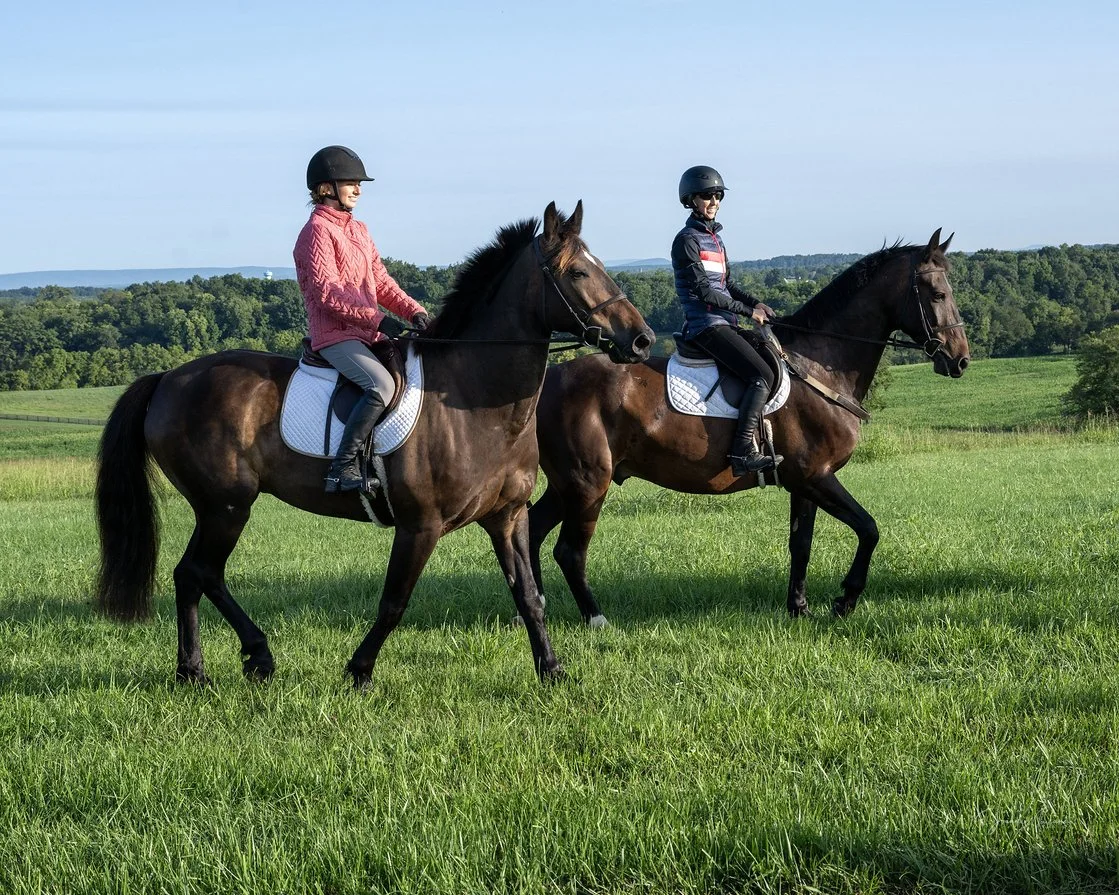 Mulch roading prof 1.jpg