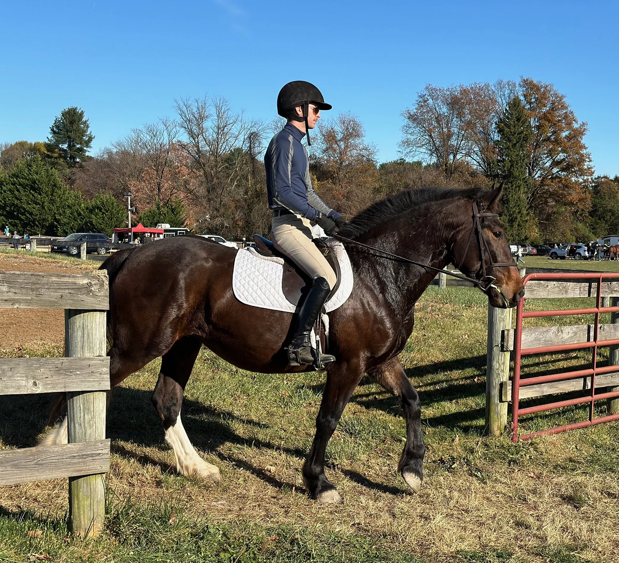 June WDST walk 2.jpg