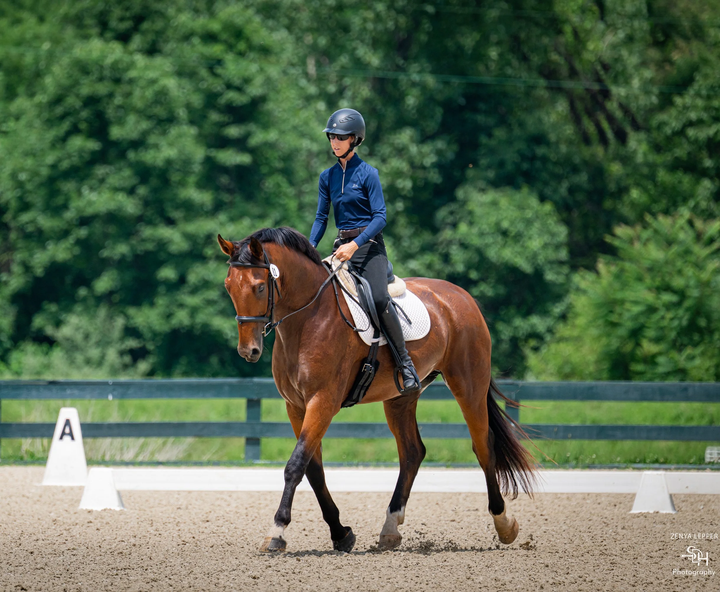 Fame GMDS trot 1 med.jpg