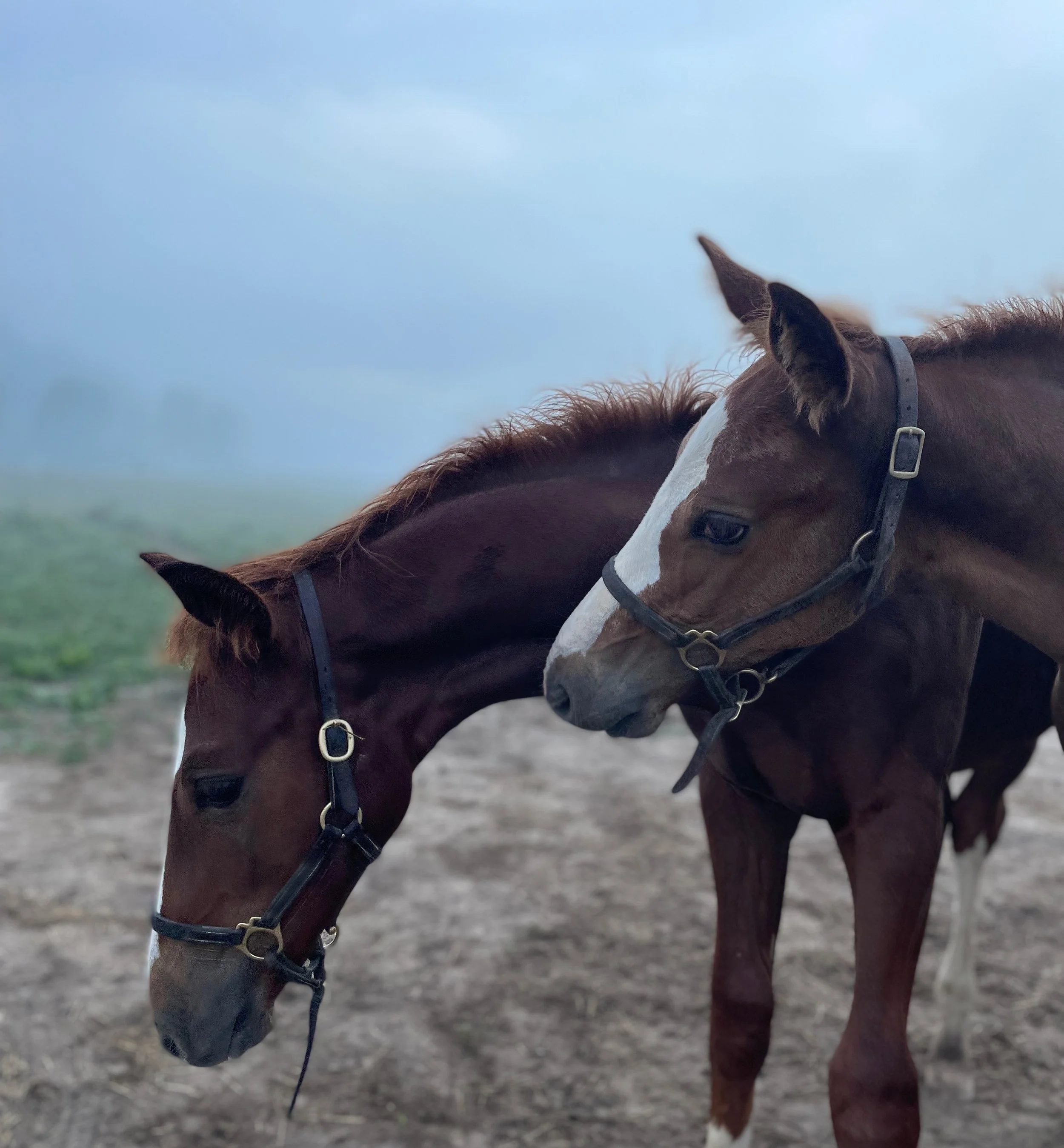 Quiet & Battle 9-22-2.jpg