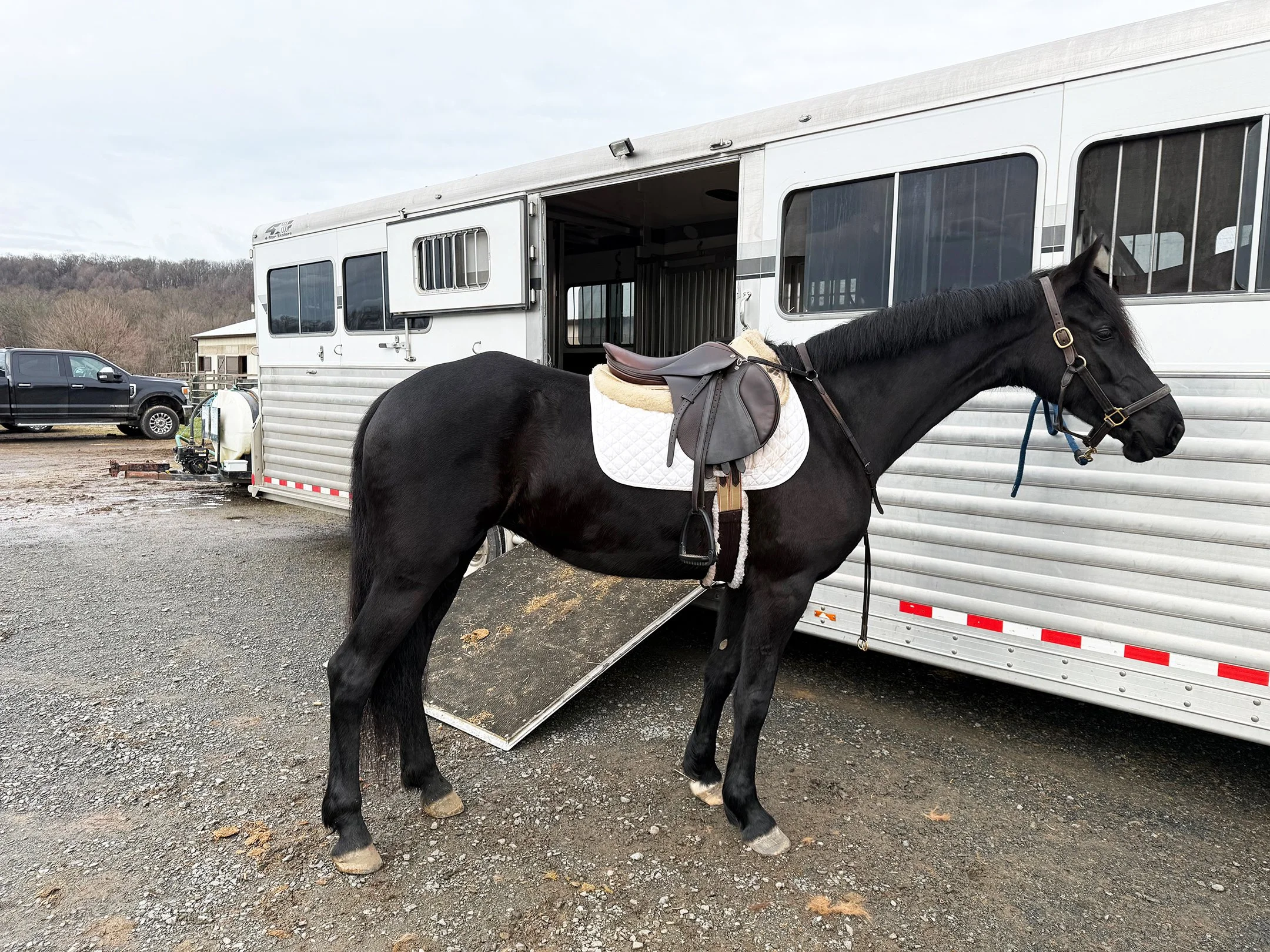 Maggie WCFJS trailer tie 1.jpg