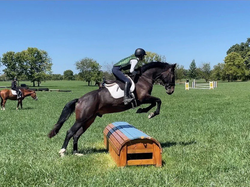 Mulch XC jump 1.jpg