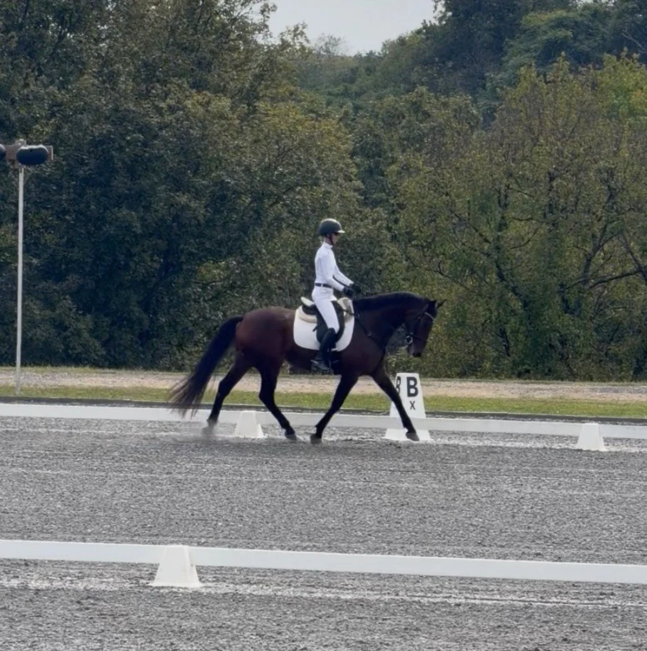 Jinn MDST trot 2.jpg