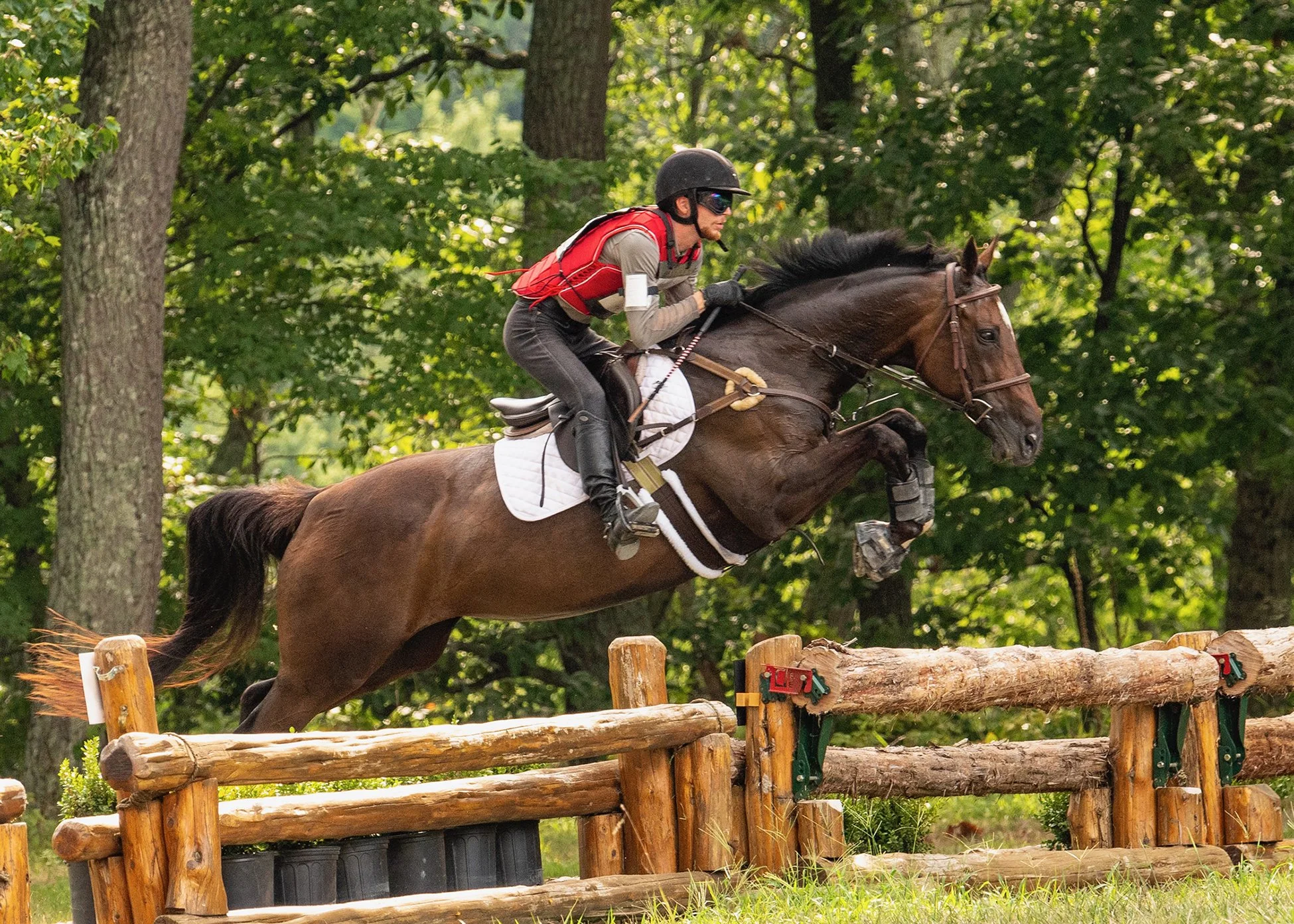 Jelly Bean MD Twilight xc prof 1 med.jpg