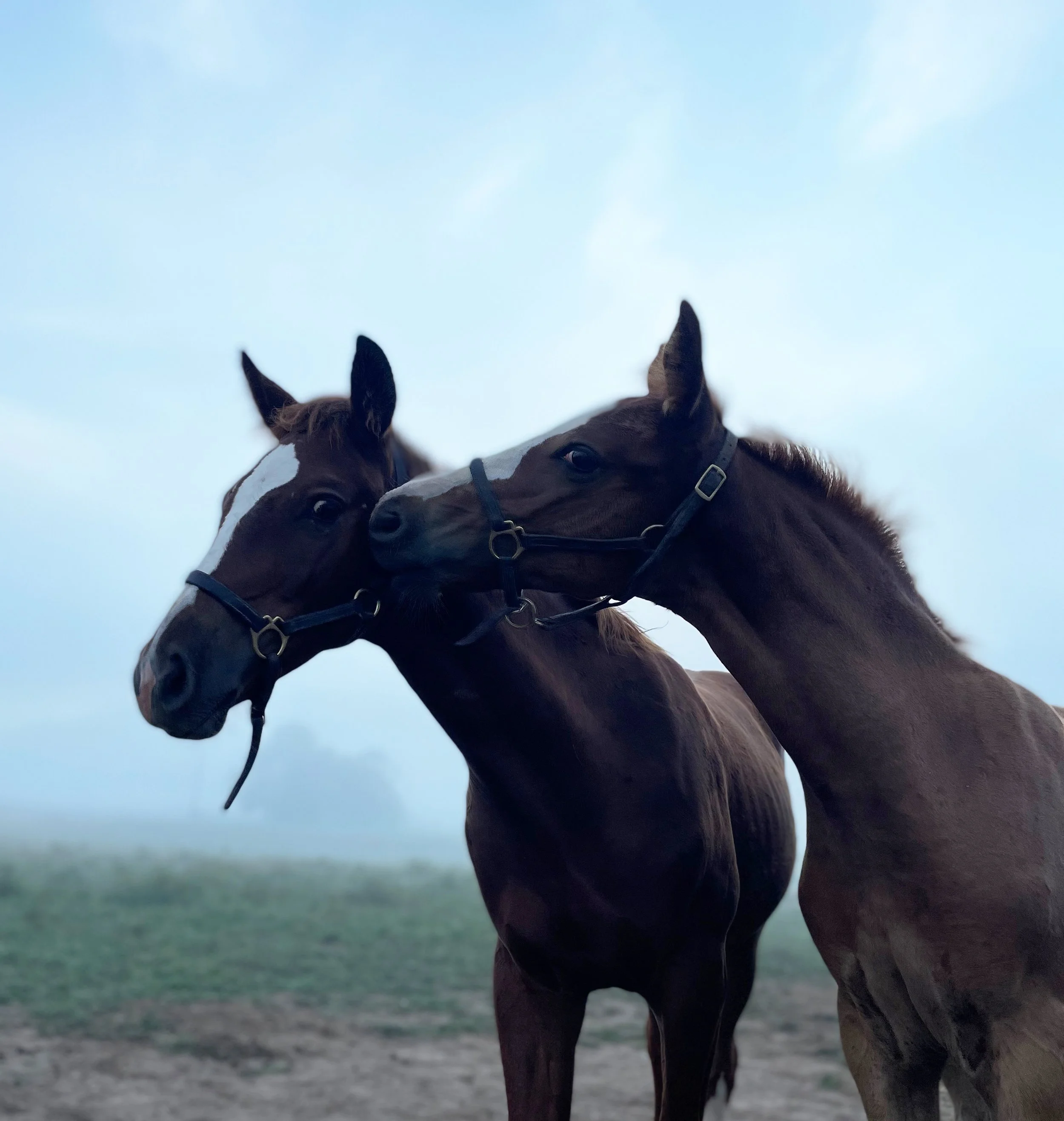 Quiet & Battle 9-22-3.jpg