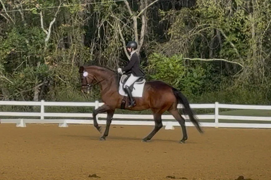 Jacek GAIG25 canter 4.jpg