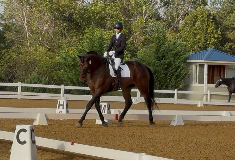 Jacek GAIG25 trot 1.jpg