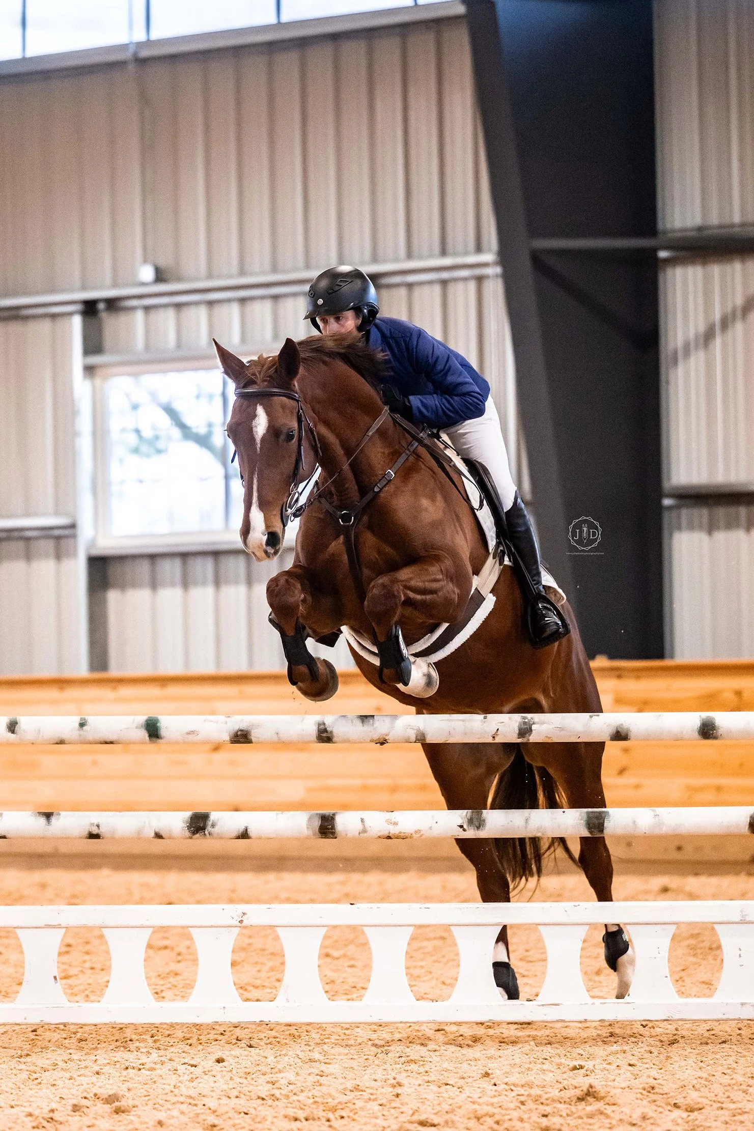 Cadenza MCDJS prof jump 1.jpg