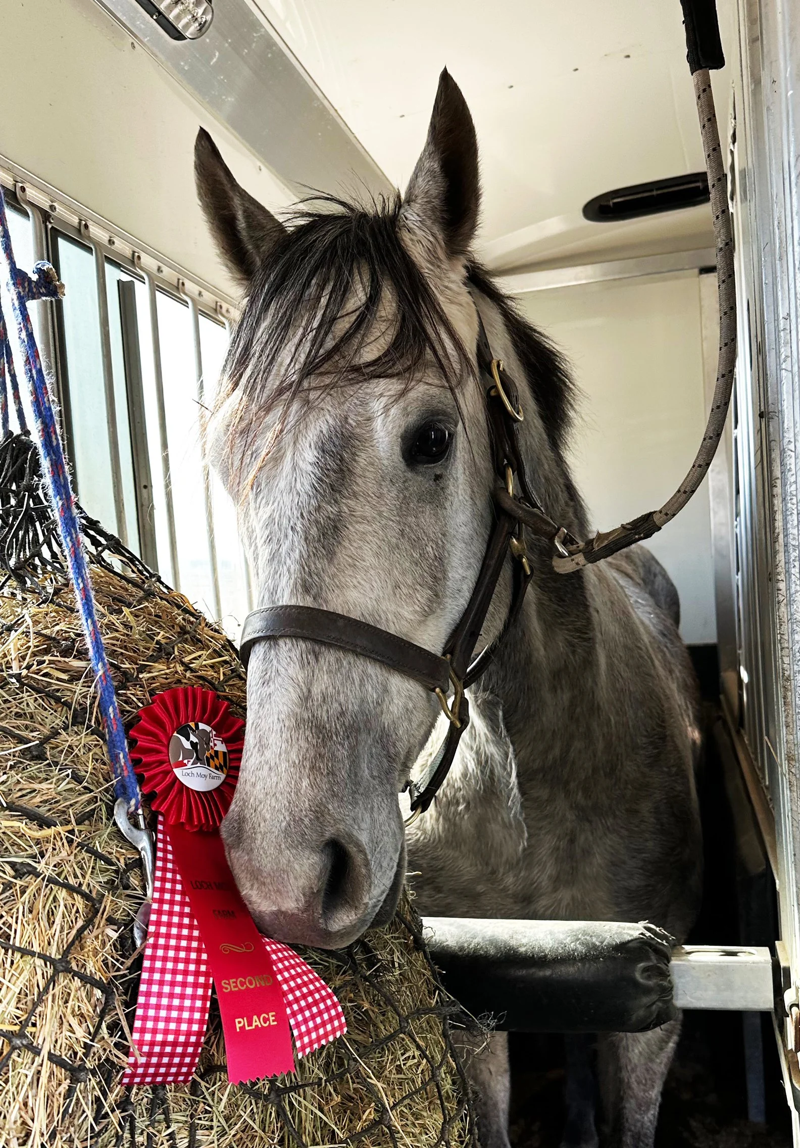 Cooper MDHTED ribbon 1.jpg