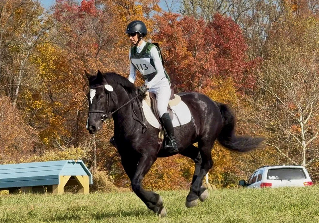 Ruca - MDHTST xc gallop 1.jpg
