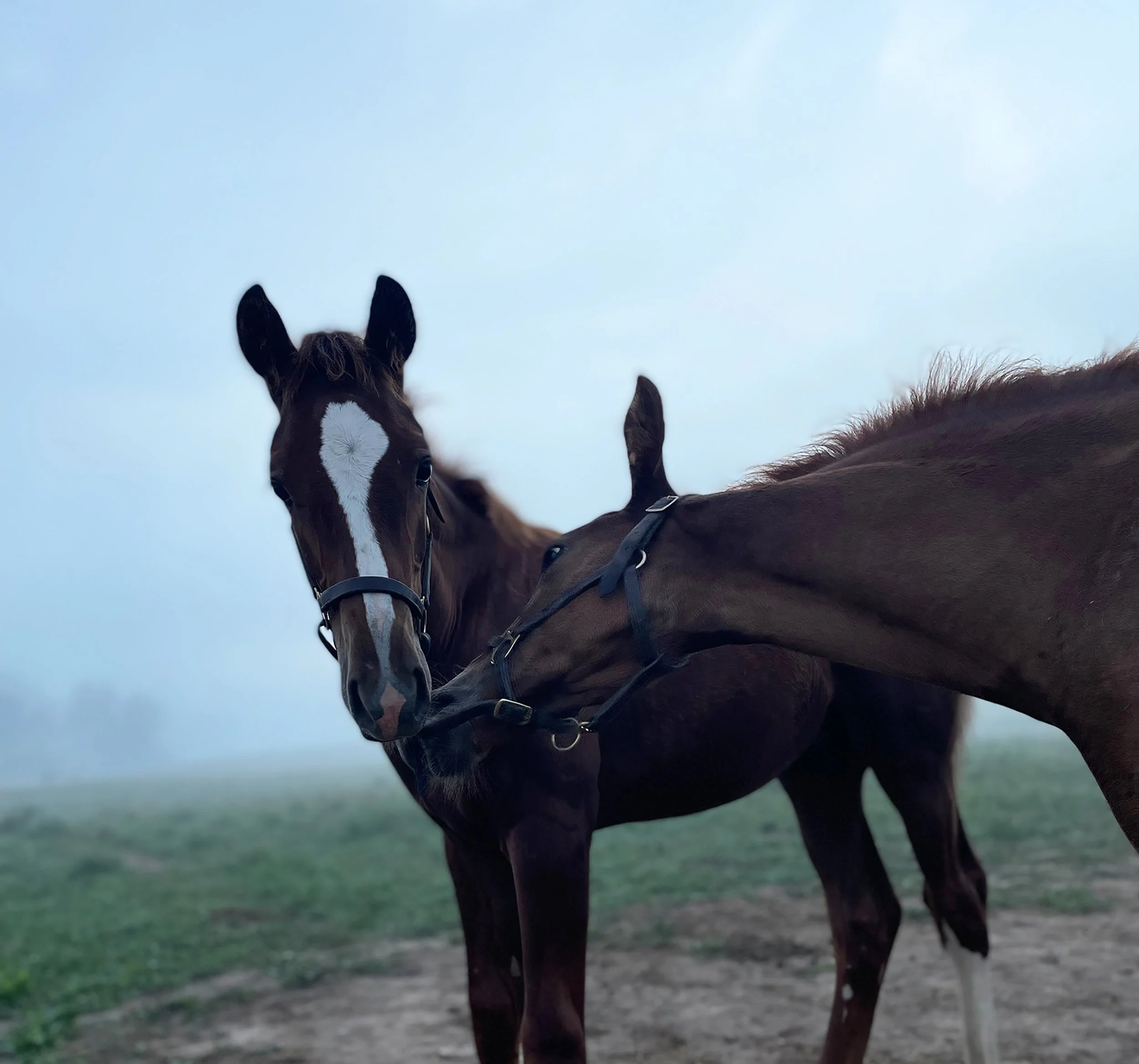 Quiet & Battle 9-22-1.jpg