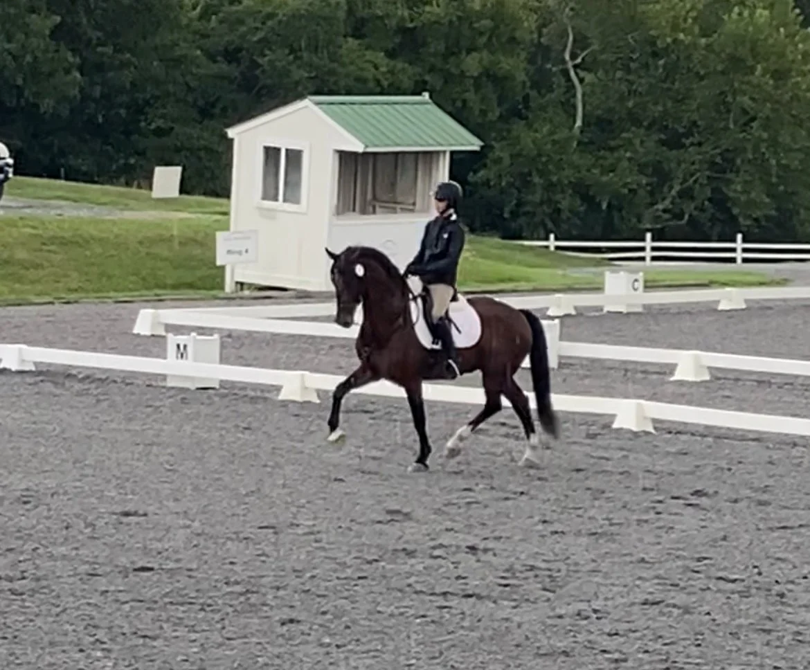 Marcelo MDTW trot 2.jpg