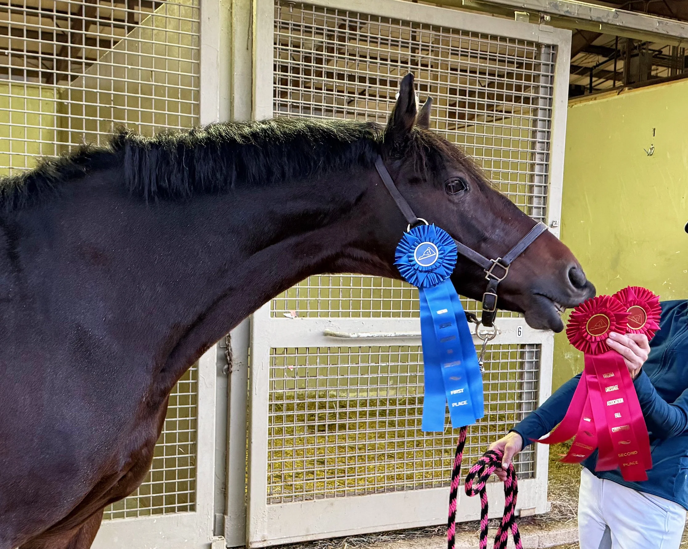 Marcelo GAIG25 ribbons 2.jpg