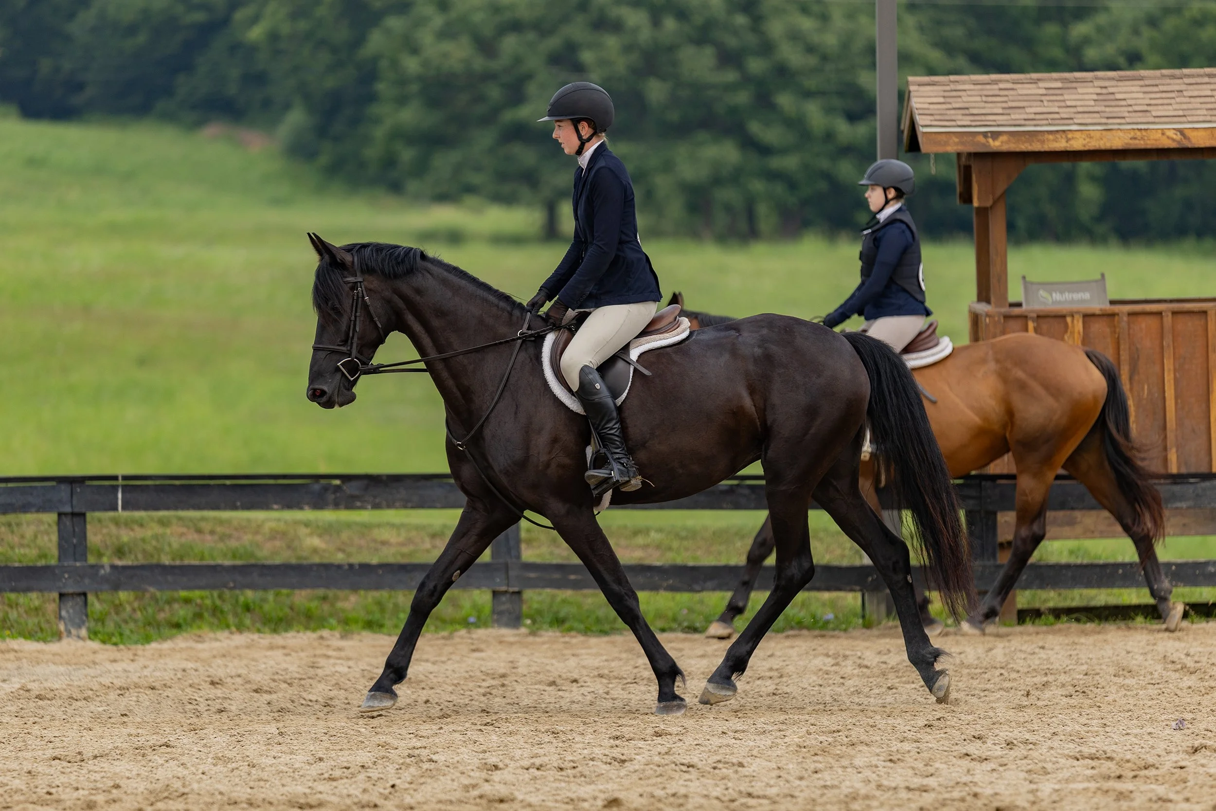 Maggie & Amelia RGF trot 1 med.jpg